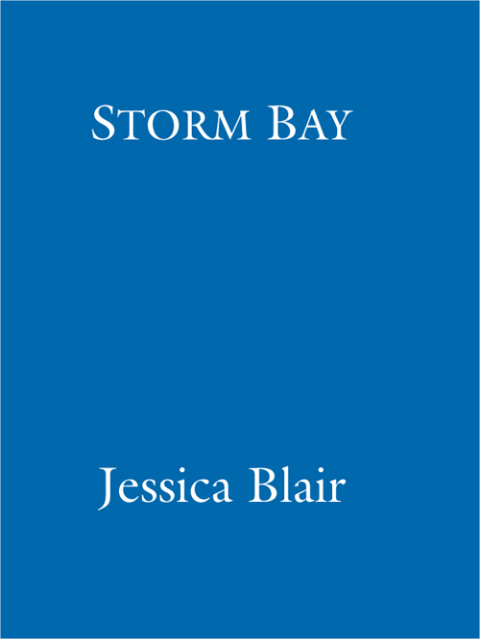 Cover image for book Storm Bay