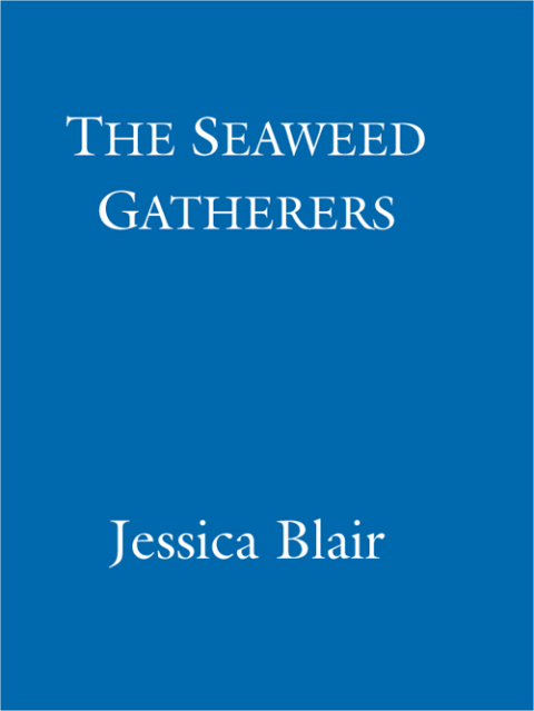Cover image for book The Seaweed Gatherers