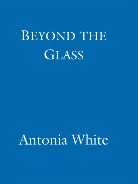 Cover image for book Beyond The Glass