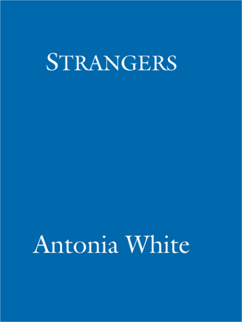 Cover image for book Strangers