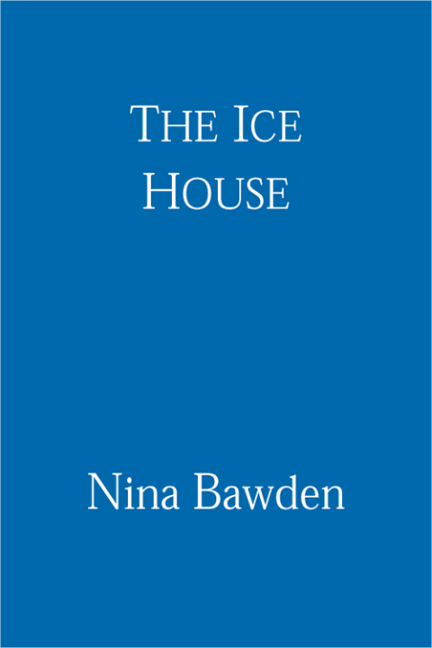 Cover image for book The Ice House