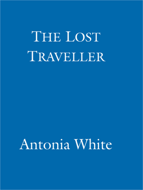Cover image for book The Lost Traveller