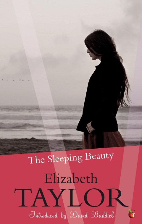 Cover image for book The Sleeping Beauty