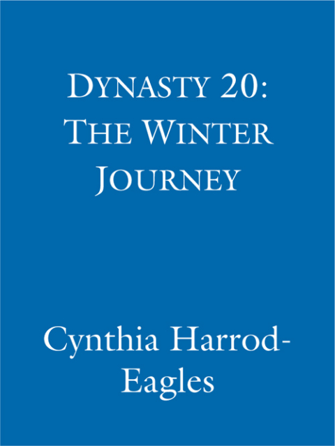 Cover image for book The Winter Journey
