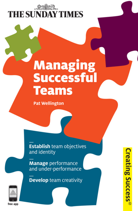 Cover image for book Managing Successful Teams