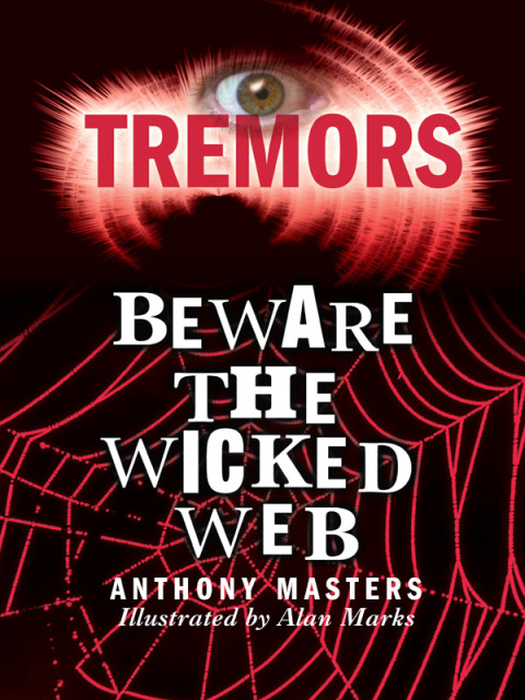 Cover image for book Beware The Wicked Web