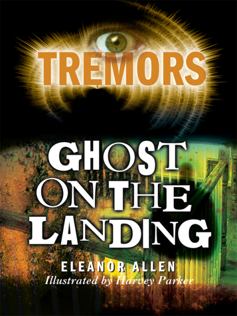 Cover image for book Ghost On The Landing