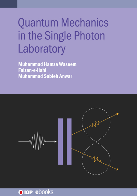 Quantum Mechanics in the Single Photon Laboratory 