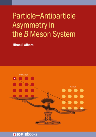 Particle–Antiparticle Asymmetry in the 