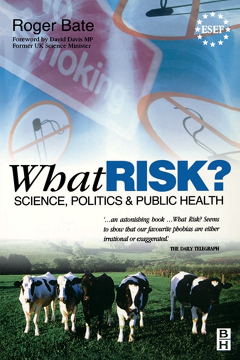 Cover image for book What Risk?