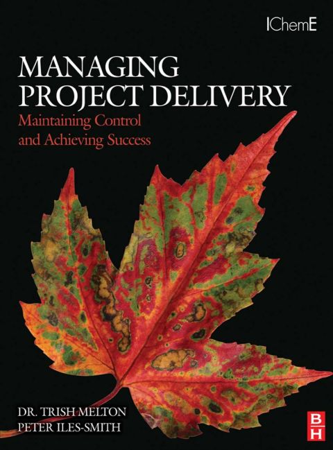 Cover image for book Managing Project Delivery: Maintaining Control and Achieving Success: Maintaining Control and Achieving Success