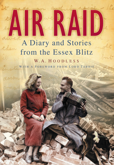 Cover image for book Air Raid