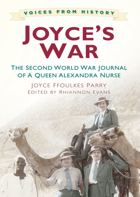 Cover image for book Joyce's War