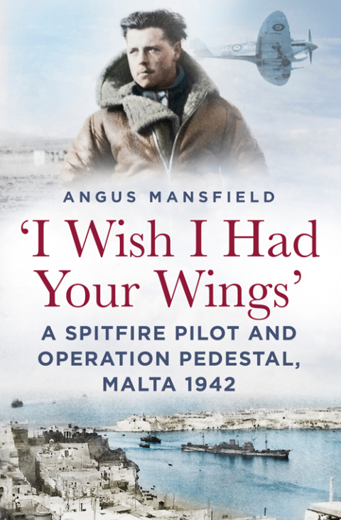Cover image for book 'I Wish I Had Your Wings'