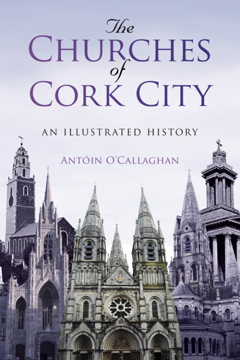 Cover image for book The Churches of Cork City