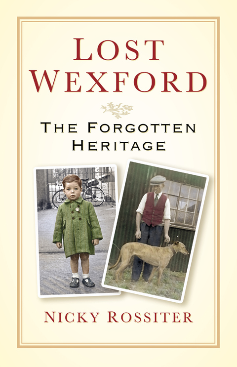 Cover image for book Lost Wexford