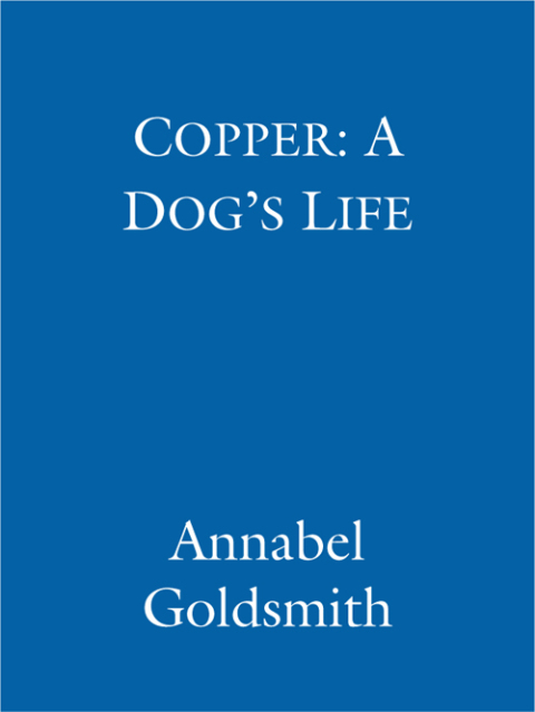 Cover image for book Copper: A Dog's Life