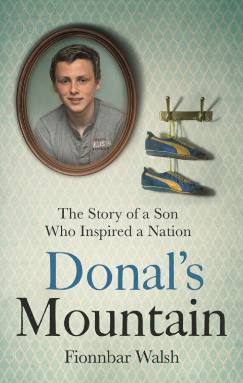 Cover image for book Donal's Mountain
