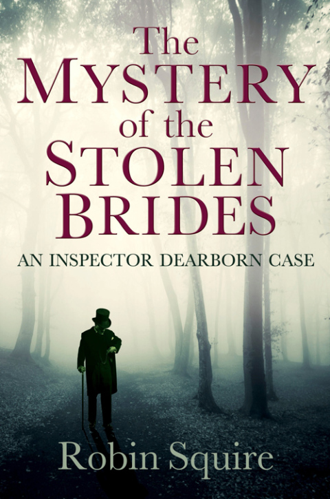 Cover image for book The Mystery of the Stolen Brides