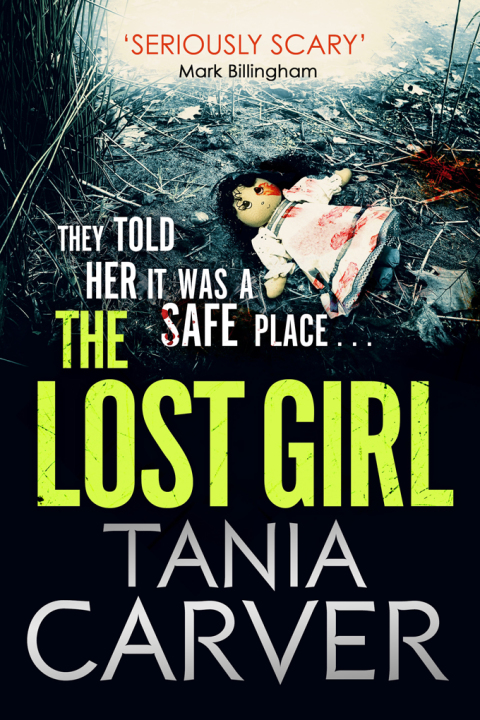 Cover image for book The Lost Girl