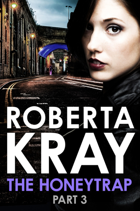 Cover image for book The Honeytrap: Part 3 (Chapters 13-19)