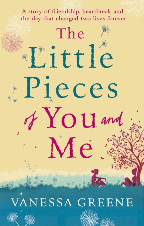 Cover image for book The Little Pieces of You and Me