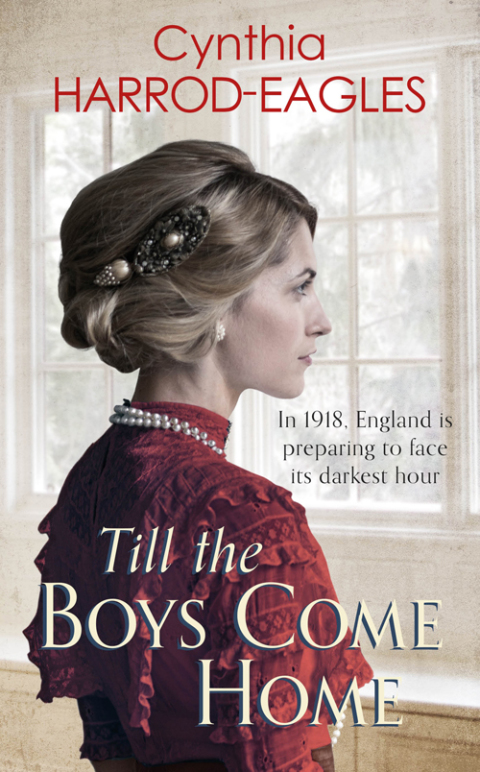 Cover image for book Till the Boys Come Home