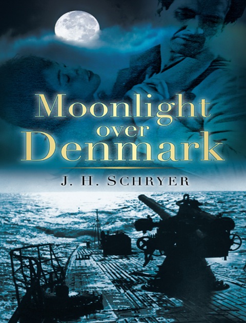 Cover image for book Moonlight Over Denmark
