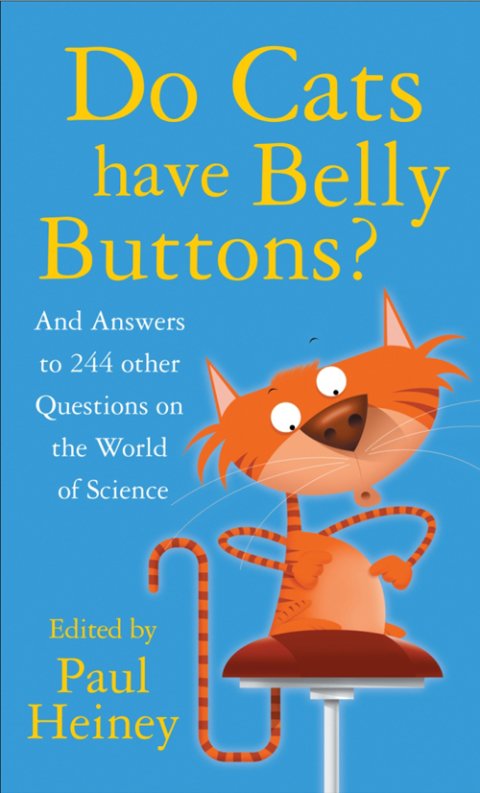 Cover image for book Do Cats Have Belly Buttons?