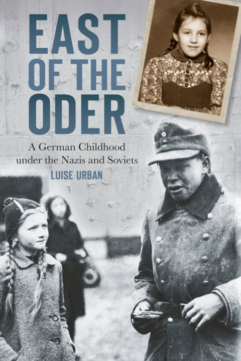 Cover image for book A Dangerous Game