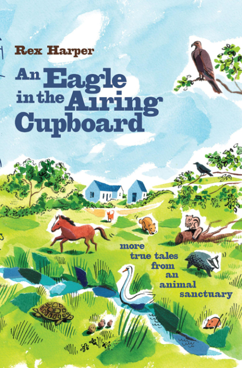 Cover image for book An Eagle in the Airing Cupboard
