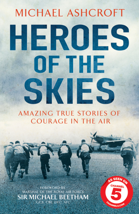 Cover image for book Heroes of the Skies