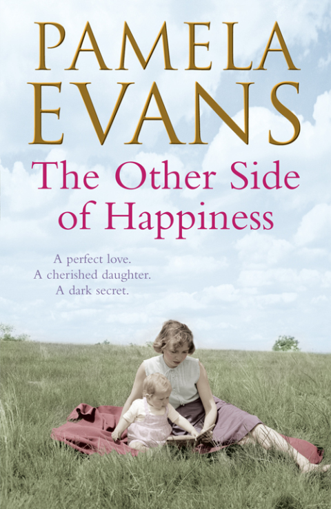 Cover image for book The Other Side of Happiness