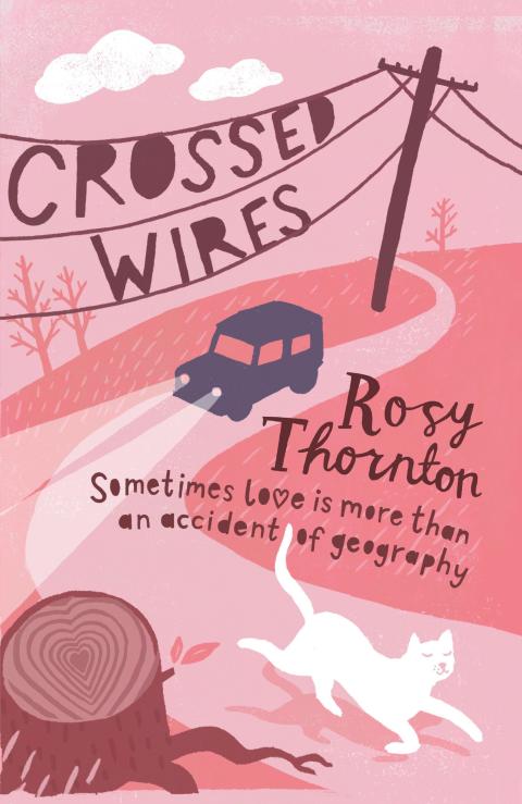 Cover image for book Crossed Wires