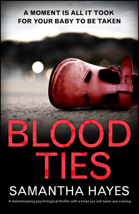 Cover image for book Blood Ties: A heartstopping psychological thriller with a twist you will never see coming