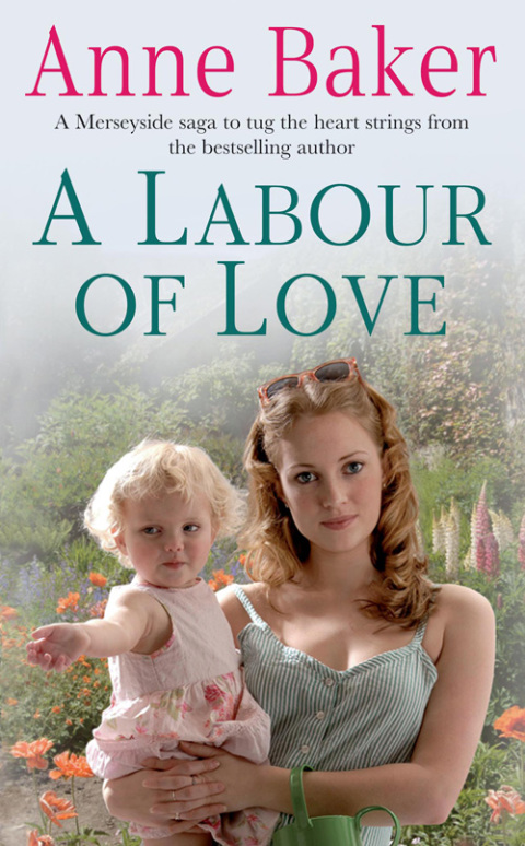 Cover image for book A Labour of Love