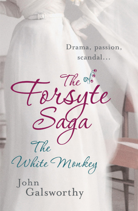 Cover image for book The Forsyte Saga 4: The White Monkey
