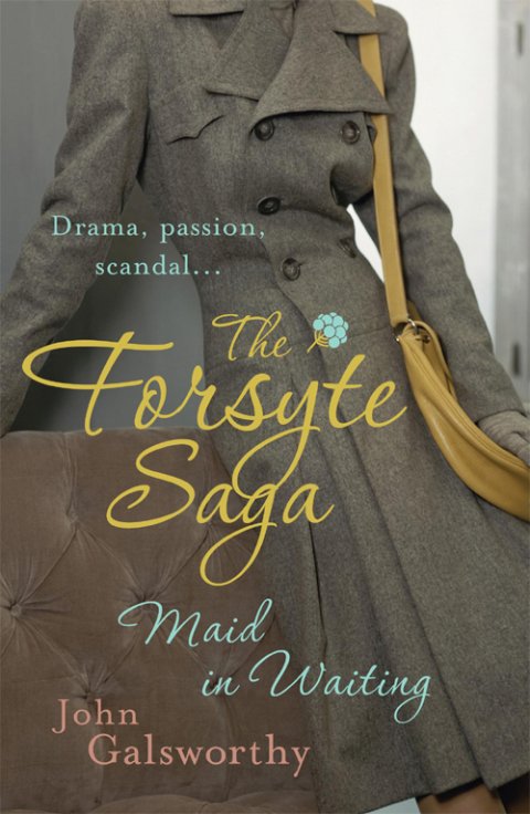 Cover image for book The Forsyte Saga 7: Maid in Waiting