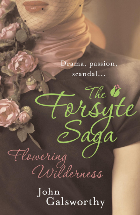Cover image for book The Forsyte Saga 8: Flowering Wilderness