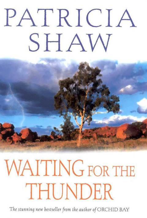 Cover image for book Waiting for the Thunder