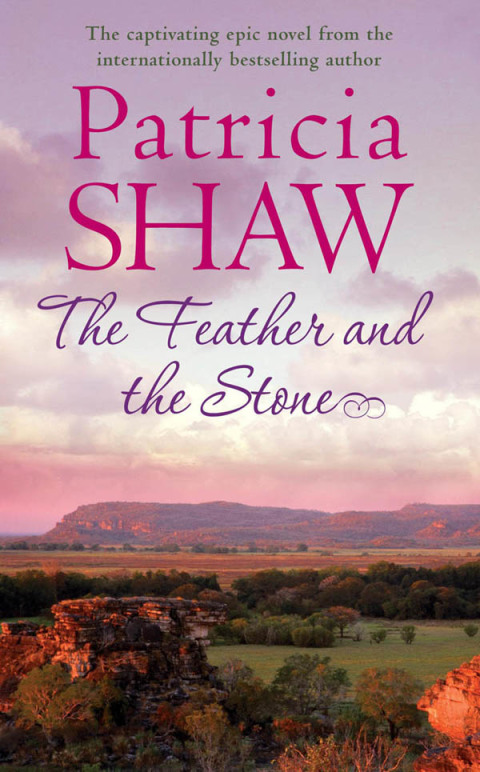 Cover image for book The Feather and the Stone