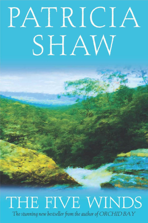 Cover image for book The Five Winds