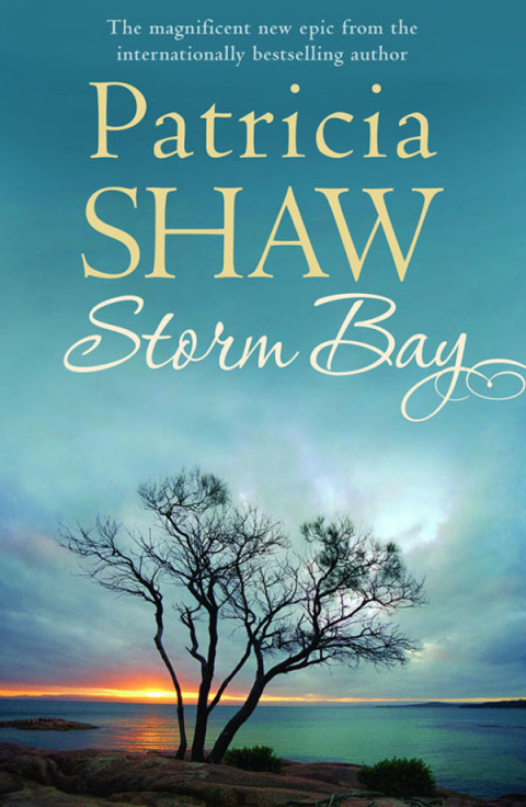 Cover image for book Storm Bay