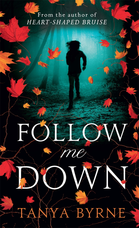 Cover image for book Follow Me Down