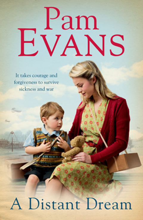 Cover image for book A Distant Dream