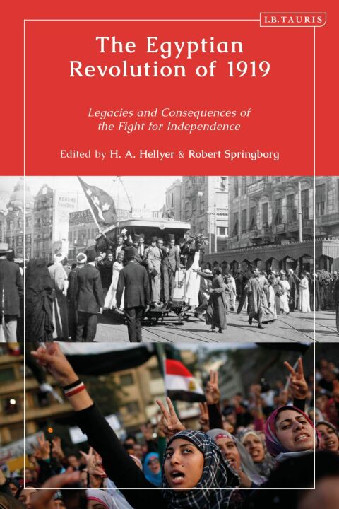 Cover image for book The Egyptian Revolution of 1919