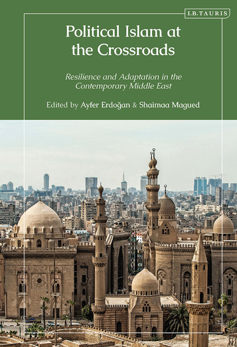 Cover image for book Political Islam at the Crossroads