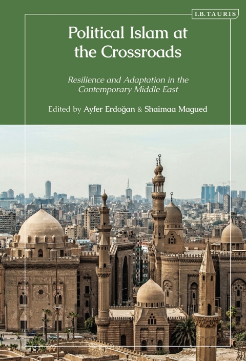 Cover image for book Political Islam at the Crossroads