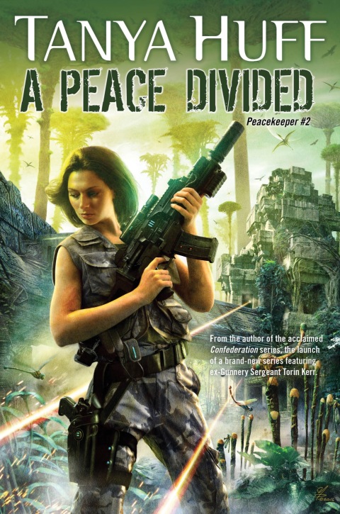 Cover image for book A Peace Divided