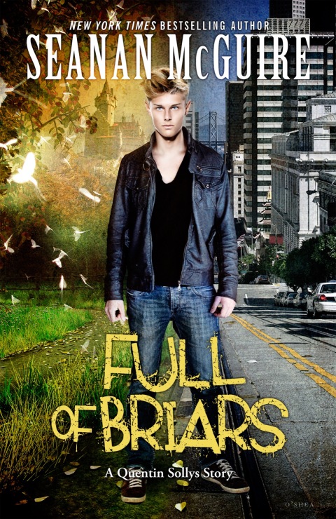 Cover image for book Full of Briars